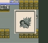 Pokémon version Argent - Game Boy Color