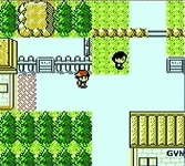Pokémon version Or - Game Boy