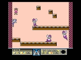 Tiny Toon Adventures - NES