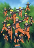 Naruto Shippuden Volume 7 - DVD