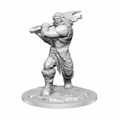 D&d nolzur's marvelous miniatures miniature à peindre ogre female (carton de 2)