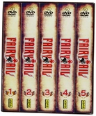 Fairy Tail Intégrale de la Saison 1 - DVD