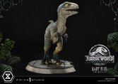 Jurassic world: fallen kingdom statuette prime collectibles 1/2 baby blue 34 cm