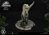 Jurassic world: fallen kingdom statuette prime collectibles 1/2 baby blue 34 cm
