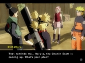 Naruto Shippuden - Ultimate Ninja 4 - PlayStation 2