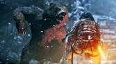 Rise of the tomb raider - PS4