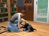 Les Sims 2 Animaux & compagnie édition Platinum - PlayStation 2