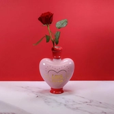 Harry potter - love potion - pot de fleurs / vase de table
