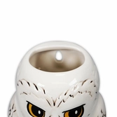 Harry potter - hedwige - pot de fleur mural