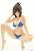 Why the hell are you here, teacher!? statuette pvc 1/5.5 kana kojima swim wear gravure style 19 cm