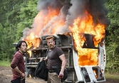 The Walking Dead L'Intégrale De La Saison 5 - DVD