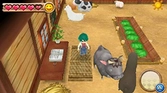 Harvest Moon : A New Beginning - 3DS