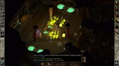 Icewind Dale Enhanced Edition - PC