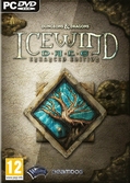 Icewind Dale Enhanced Edition - PC