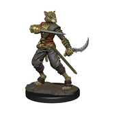 D&d icons of the realms miniature premium prépeinte tabaxi rogue male (carton de 6) - Jeux de figurines