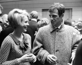 Belmondo Collection : Echappement Libre - DVD