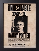 Harry potter - indésirable n°1 - collector print '30x40cm'