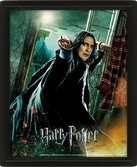 Harry potter - deathly hallows - poster lenticulaire 3d 26x20cm