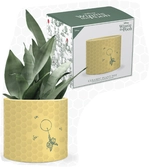 Disney - winnie l'ourson nid d'abeilles " - pot pour plante"