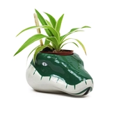 Harry potter - serpentard - pot pour plante