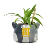Harry potter - poufsouffle - pot pour plante