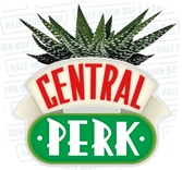 Friends - central perk - pot pour plante