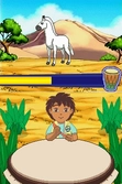 Go Diego ! Mission Safari - DS