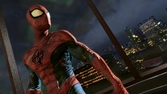 Spider-Man : Aux frontières du temps - DS