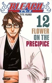Bleach - tome 12