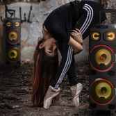 Enceinte Bluetooth Wild Dub 1 300w - NGS