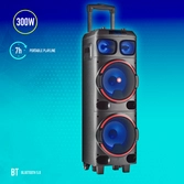 Enceinte Bluetooth Wild Dub 1 300w - NGS