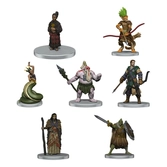 D&d icons of the realms miniatures prépaintes tomb of annihilation - box 2