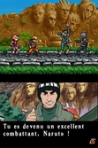 Naruto Shippuden : Ninja Council 3 - DS
