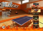 Balls Of Fury - Wii