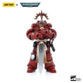 Warhammer 40k figurine 1/18 blood angels veteran salus 12 cm