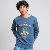 Harry potter - poudlard - sweat à capuche homme (l)