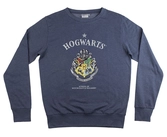 Harry potter - poudlard - sweat à capuche homme (l)