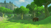 The Legend of Zelda : Breath of the Wild - WII U