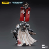 Warhammer 40k figurine 1/18 grey knights castellan crowe 12 cm