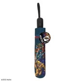 Les maîtres de l´univers parapluie characters