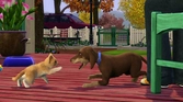 Les Sims 3 Animaux & Cie édition Limitée - XBOX 360