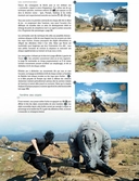 Guide Final Fantasy XV
