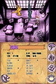 Spyro : Shadow Legacy - DS