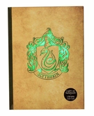 Carnet lumineux hp - serpentard