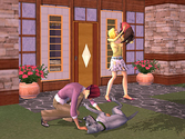 Les Sims 2 Animaux & Cie - GameCube
