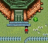 Harry Potter et la Chambre Des Secrets - Game Boy Color