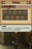 Harry Potter et le Prince de Sang-Mêlé - DS