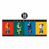 Harry potter set sous-mains revêtu & sous-verre  houses