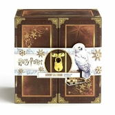 Harry potter - calendrier de l'avent 2023 - gift box potions""