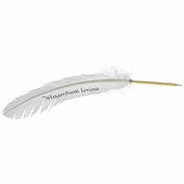 Harry potter - wigardium leviosa - plume stylo